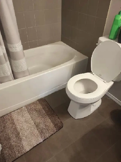 Roommate needed Image# 1