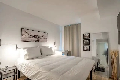 Room For Rent Downtown Toronto Image# 1