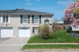 Basement for rent Image# 1