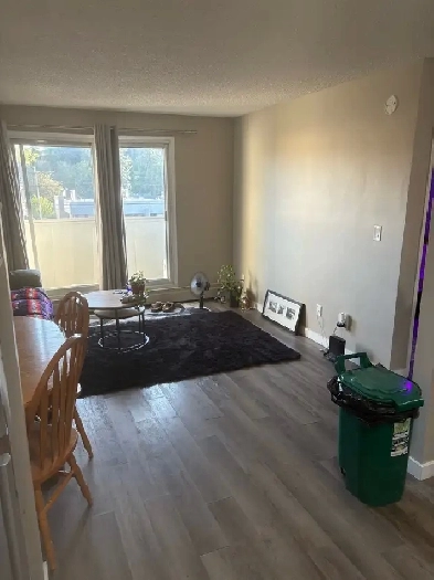 One Bedroom Apartment For A Lease Takeover Image# 5