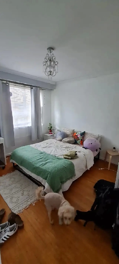 Apartment for rent available Oct.1st/2025.2k, mnth roof patio Image# 1