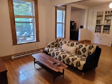 HOMA: magnifique 6 ½ avec cour et sous-sol – métro Joliette Image# 1