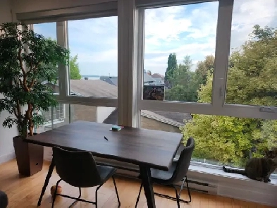 Condo 4 1/2 à louer Image# 2