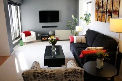 Fully Furnished 2 Bedroom Downtown Condo Image# 2