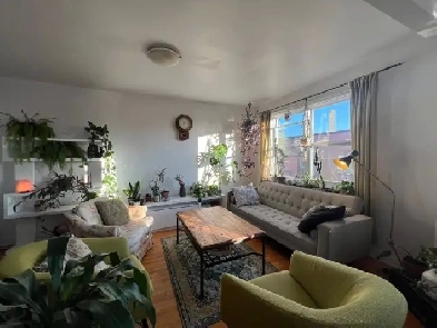 Grand 4 1/2 meublé Image# 1