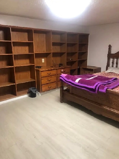 basement for rent in gateway area Image# 5