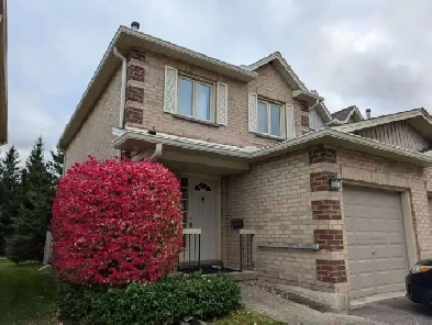 Guelph single room for rent (close to Guelph university) Image# 3