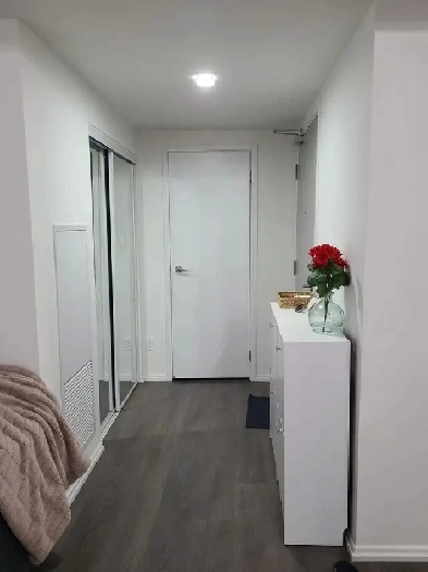 Luxury Furnished 1 BD Condo Downtown Toronto Image# 1