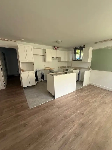 logement 3 1/2 complètement rénové à louer Image# 3