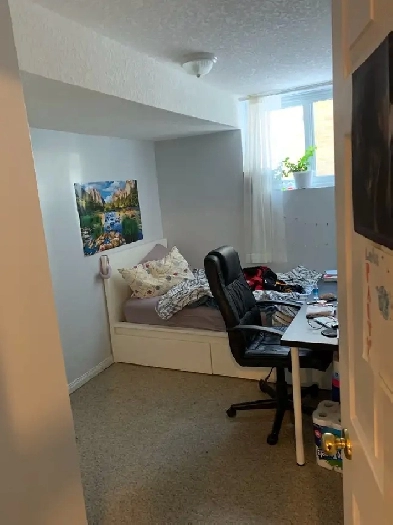 Student Rental, 3 Bedrooms and or Single Rooms Available Image# 4