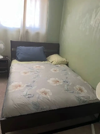 Cosy Room to rent from 01 Oct 2025 Image# 1