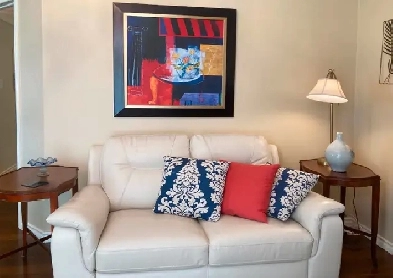 Fully Furnished 1 Bedroom Apartment Image# 1