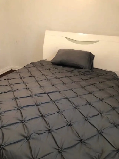 Furnished Specious Room on Main Floor in Scarborough For Rent Image# 1