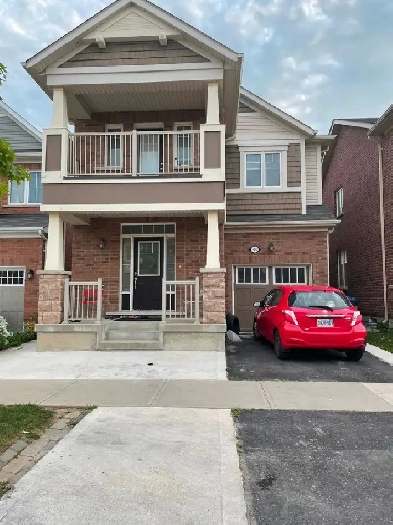 Specious furnished 2 bedroom basement apartment for rent Image# 1