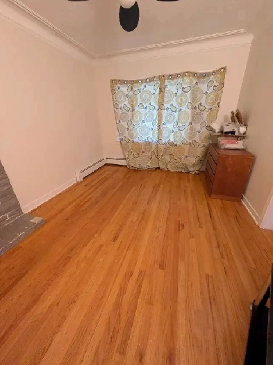 room in north end house available immediately Image# 2