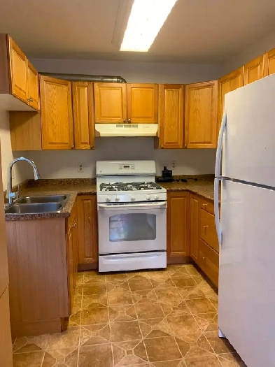 Comfy home for rent Image# 3