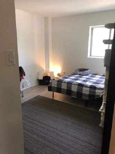 Room for rent in one bedroom apartment Image# 6