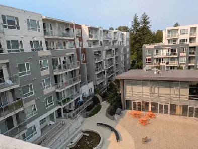 Spacious Penthouse 2-Bed, 2-Bath in Surrey Central – $2,300/mont Image# 23
