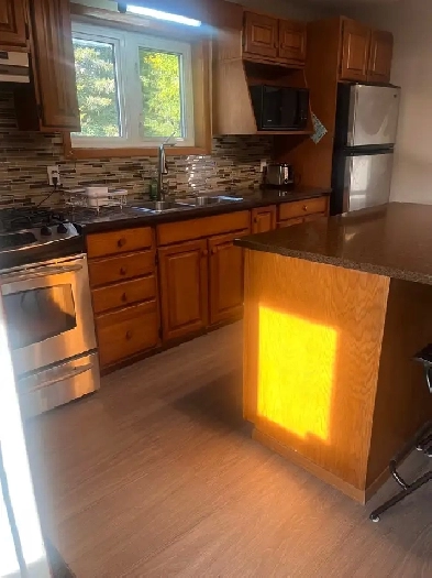Freshly renovated semi rule home for rent on 5 acres of property Image# 7