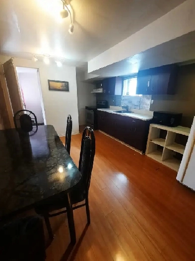 WALKOUT BASEMENT FOR RENT $1450 Image# 4