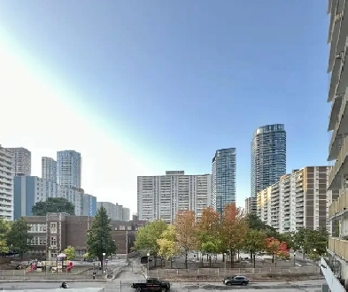✨ Room & Living Space Available – Downtown Toronto Image# 11