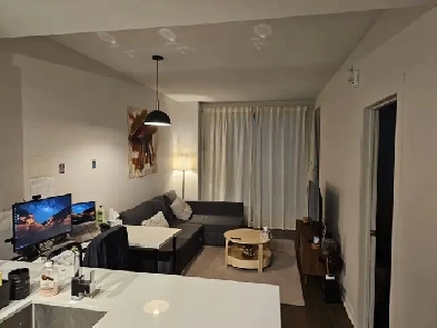 1 Bedroom Apartment with Storage room near Concordia Image# 8