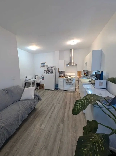 one bedroom apartment available downtown Simcoe Image# 3