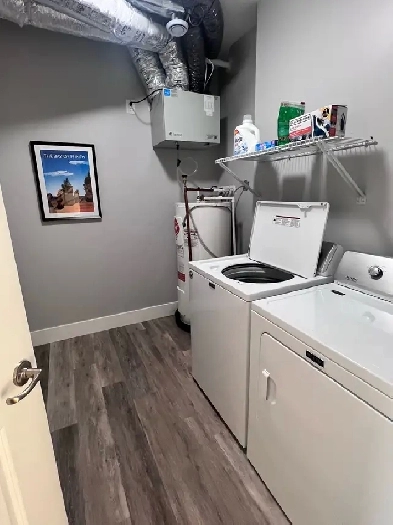 1Bd1Bath Luxury Apartment for Rent Image# 1