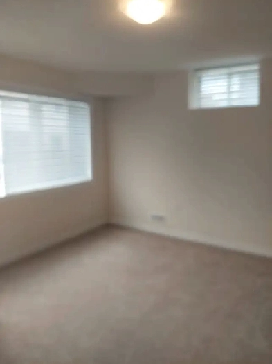 2 Bdrm Basement Apt for Rent in Newcastle Image# 1