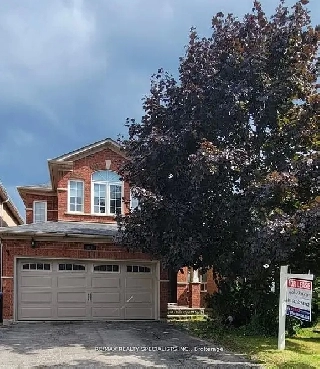 Absolutely Gorgeous & Beautifully  2 Bedroom Spacious Basement Image# 1