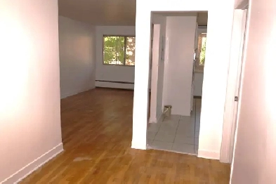 Anjou 3 1/2 Image# 1