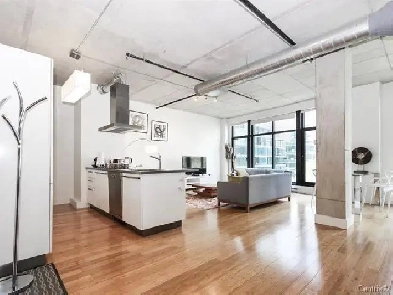 3 1/2 LOFT à louer Montreal Image# 1