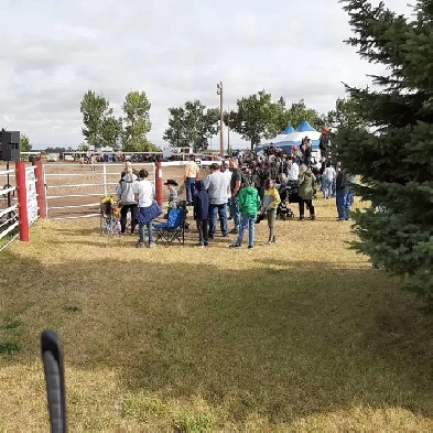 looking for shared accommodation Image# 1