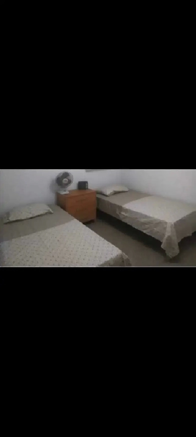 Roommate needed Image# 1