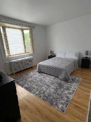 3 Bed/1 Bath Apartment Near Loyola Campus Image# 1