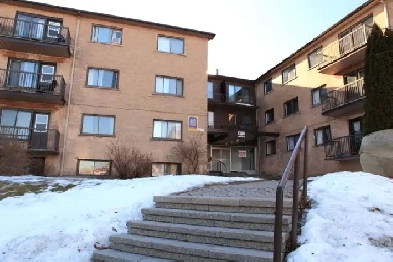 Dorval: New renovated 4.5,5.5 in the best location for rent Image# 1