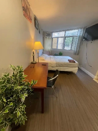 Furnished studio, Dundas/College Station, TMU move asap Image# 1