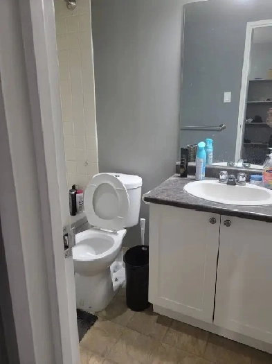 1-Bedroom (Furnished) Apartment For Rent Image# 4