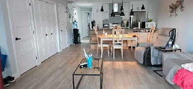 GRAND 4 1/2 IMMEUBLE RÉCENT CHIEN ACCEPTÉ Image# 1