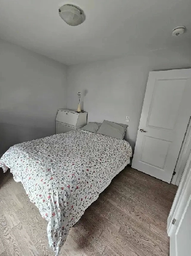 Room for rent in Woodstock Image# 3