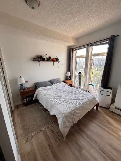 2 Bed 2 Bath Downtown Pet Friendly Image# 1