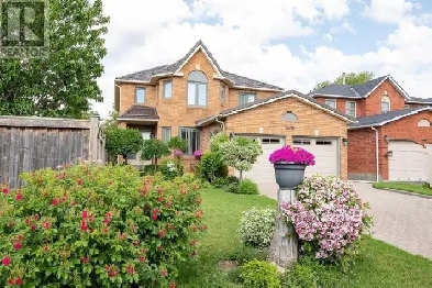 Basement Apartment for Rent Image# 1