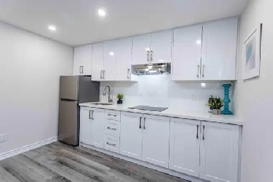 basement department for rent Image# 1