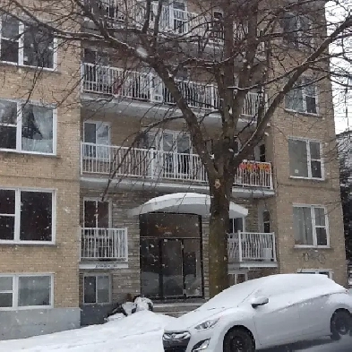 2620 rue Moreau Metro Prefontain Image# 1