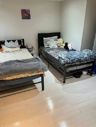 Spacious Master Room for Rent in Scarborough – Female Only! Image# 1