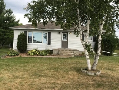 Country home in the city! 2 bed bungalow, 1 acre- 1131 Sunnyside Image# 5