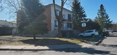 Appartement 3 l/2 à louer Longueuil rue de la Milice Image# 1