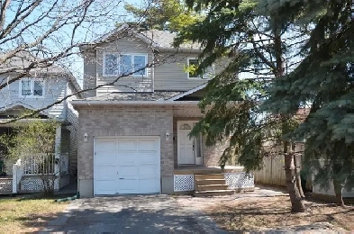 Private winter car storage- Merivale/Baseline-Bnk/HuntClub-VIDEO Image# 1