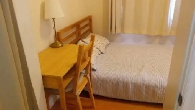 Bright furnished one bedroom apartment downtown available Oct 1 Image# 1