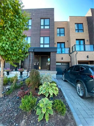 New and Spacious Room for Rent in Vaughan Image# 5
